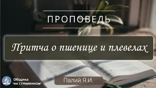 Притча о пшенице и плевелах | Христианские проповеди АСД| Адвентисты Москвы | Палий Я.И.