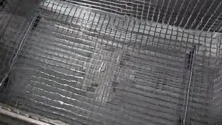 Xioneer Vortex
