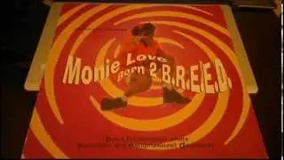 MONIE LOVE (BORN 2 BREED) FUNKSTRUMENTAL