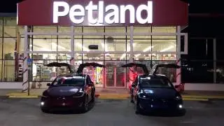 Twin Tesla Model X Xmas Easter Egg show