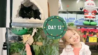 PETSITTING ADVENTURES | VLOGMAS