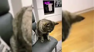 Samra macht Iftar und spielt mit seiner Katze | Samra Insta Story 14.03.2024