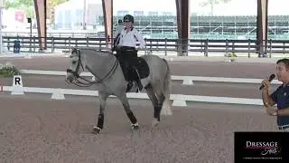 Robert Dover: 4 Things You Should Own In Riding Dressage