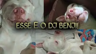 MONTAGEM RENICHMENTE - DJ BENJI
