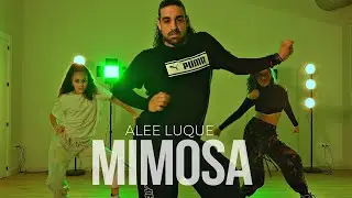LATENIGHTJIGGY - Mimosas | Alee Luque Choreography