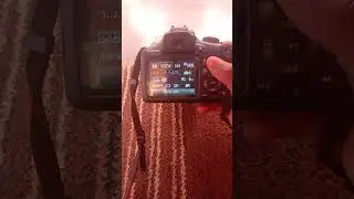 canon 1500d manual setting in indoor photo shoot