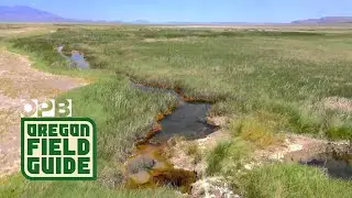 Oregon's Steens Mountain and Alvord Desert