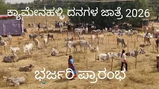 Beginning of Kyamenahalli cattle fair 2026
