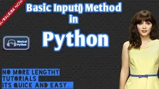 Input() Method in Python | Python for Beginners