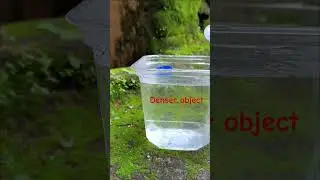 Float or sink? Density | Upthrust | Buoyant force | Floatation #viral #shorts #physics #experiment