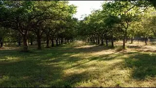 Rancho de los Corralitos | Corralitos, CA
