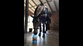 ISO-Tite&trade; Gel Liniment
