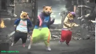 Funny Rat Song, Top Rats, Dance Music Pop Songs, This Video Has No Dislikes!
