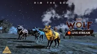 Live🔴 : The Wolf open world survival HD first impression Gameplay 🎮