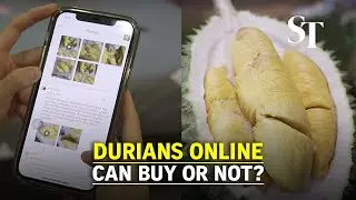 Durians online: Can't sniff, can't shake, can't knock. Can buy or not?