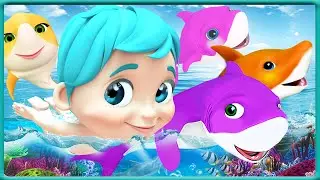 Baby Shark's Treasure Hunt 🗺️🦈🏴&zwj;☠️ #babyshark- Baby songs - Nursery Rhymes & Kids Songs