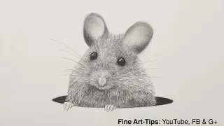 How to Draw a Mouse With a Mechanical Pencil - Animal Hair - Rat Fur