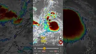 Typhoon 
