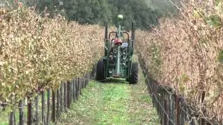 SIS System Demonstration
