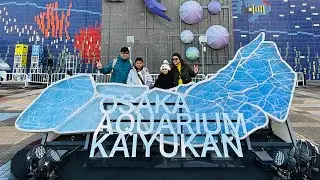 Largest Aquarium of the world tour (Whale) - OSAKA #japan #indiantraveller #whalewatching 