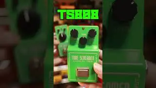 TS808 vs TS MINI🎸#ts808 #tsmini #guitarpedals
