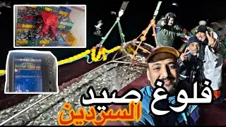 فلوغ صيد السردين من A إلى Z  و معلومات عن كيفية اصطياده