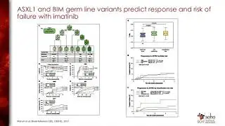 120CML13
