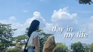a hot summer day in NARA  ོ༘₊⁺☀︎₊⁺⋆| nara park, mochi pounding, tokae lantern festival