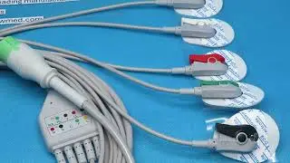 ECG 10077H Compatible Comen  ECG CablesFive Leads Grabber &ndash; IEC Color