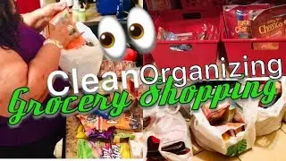 Clean & Organize with me After Grocery Shopping at Dollar Tree Put Away