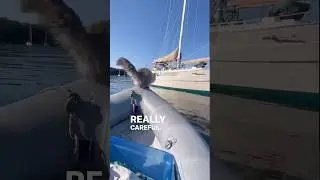 Китти... Не прыгай! 😹