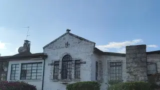 VLOG: Tigoni's Best-Kept Secret: Waterfalls, Tea Farms & Sunday Vibes