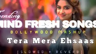 Tera Mera Ehsaas [ new lyrics video song] Mind fresh song #lofibeats #slowemotion #music 