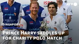 Prince Harry saddles up for charity polo match in Singapore | AFP