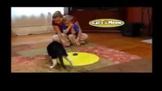 Cats Meow Toy | As Seen on TV Cats Meow Toy your Cats will love it