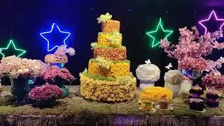 ВАЛЬС ЦВЕТОВ В ТЕЛЬ АВИВЕ