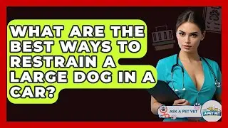 What Are The Best Ways To Restrain A Large Dog In A Car? - Ask A Pet Vet
