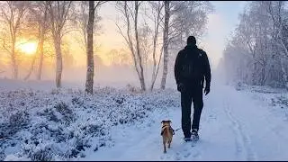 Silent Winter Hike with My Dog | Frosty Morning Walk (8 Min.)