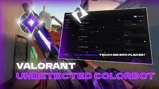 INSANE VALORANT COLORBOT & TRIGGERBOT UNDETECTED 2026 (Radiant Easy + Best Settings)