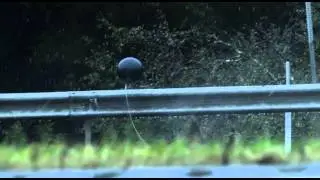 THE BLACK BALLOON