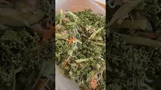 Bitter flower salad ញាំស្តៅ។ #cookingrecipes