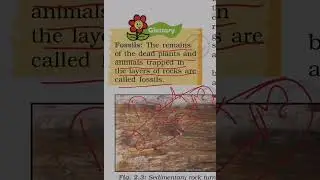 what is fossils #ncert #upsc #freeupsc #class7geography #geographyclass7chapter2