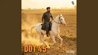 DOT 45