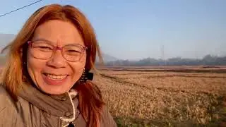 Morning walk @Pengjang - January 13, 2026