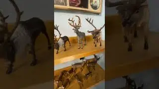 Toy Deer Collection (Ruminants) & Friends