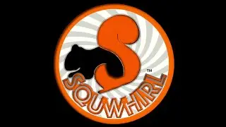 SQuWhirl&trade;  The Whirling Running Squirrel Toy