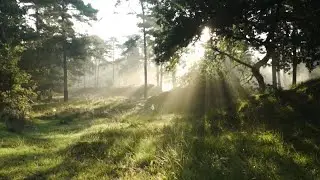 Best Mist Scenery Stock Footage | Drone View | Free Nature HD Videos &ndash; No Copyright