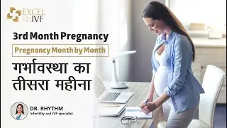गर्भावस्था का तीसरा महीना | 3rd Month Pregnancy in Hindi | Dr Rhythm Gupta - IVF Specialist in Delhi