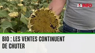 L'inflation acc&eacute;l&egrave;re la chute des ventes du bio