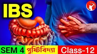 IBS ( Irritable Bowel Syndrome) | পেটের গণ্ডগোল | Class 12 Sem 4 Nutrition | CBC TOPPER